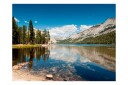 Fototapet Tenaya Lake Yosemite National Park 300x231 - Artgeist sp. z o. o.