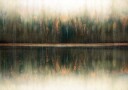 Reflection Of Autumn Plakat Plakat / 100x150cm