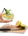 2 stk Premium Fishbowl Gin/Cocktail Krystallglass 600 ml