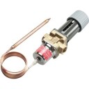 AVTA15 25–65°CG 1/2 15 MM