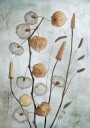 Mandy Disher Lanterns Plakat Plakat / 70x100cm