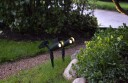 Solcelledrevet LED-spotlight 15 lm 2-pk.