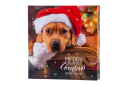 Julekalender med hundegodteri