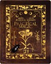 Practical Magic (1998) / Magiens makt