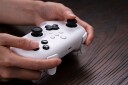 8Bitdo RET00315, Joystick/Styrepinne, Android, PC, Tilbakeknapp, Modusknapp, Digitalt, Trådløs, Bluetooth