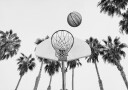 Basketball Plakat Plakat / 100x150cm