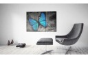 Bilde The Study Of Butterfly Triptych 120x80 Artgeist sp. z o. o.