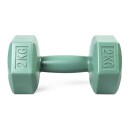 ASG Dumbbell 2 kg
