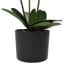 vidaXL Kunstig orkidéplante med potte Hvit 45 x 15 x 65 cm