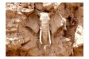 Fototapet Stone Elephant South Africa 100x70 - Finnes i flere størrelser
