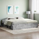 vidaXL Sengeramme betonggrå 200x200 cm 8721012158467