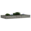 vidaXL Gabion høybed galvanisert stål 200x100x20 cm