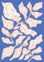 Evevning Glory Plakat Plakat / 50x70cm