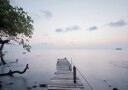 Tranquil Morning Pier Plakat Plakat / 21x30cm