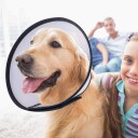 Sårkrage Til Hund Og Katt