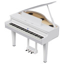 Roland Gp 6 Pw Mini Grand