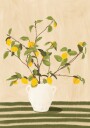 Lemon Tree Still Life Plakat / 100x150