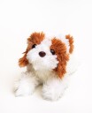 Hund Bamse Vicky Spaniel | Hilda
