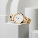 Daniel Wellington DW Klokke Iconic Link 32mm Gold