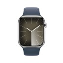APPLE WATCH SERIES9 GPS + CELL 45MM SILVER STAINLESS CASE W/ STORM CONS