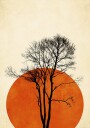 In the Wilderness Plakat Plakat / 70x100cm