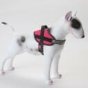 K9 populær ett-klikk  hundesele