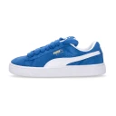 Puma Herre Sko Blå 42 1/2 EU