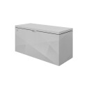 Biohort StyleBox 170 X Design metallic silver