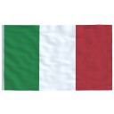 vidaXL Italiensk flagg og stang 5,55 m aluminium
