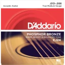 Daddario EJ24