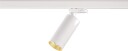 Reed Spot For Global 3T skinne  Hvit/Gullfarget
