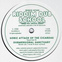 Riddim Dub School 9th Grade