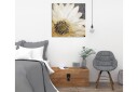Lerretsbilde 45x45 cm Hvit blomst med svart midtpunkt og gylne detaljer Hvit / Svart / Gull