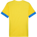 Puma teamGOAL Matchday Jersey treningstrøye herre Yellow L