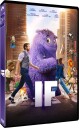 If 2024 DVD