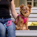 Curli Stretch Comfort Leash Fuchsia M