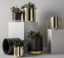 Skultuna 1607 Nurture potteskjuler liten messing