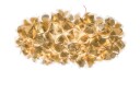 Slamp Clizia 130 Pendel Mama Non Gold/Red