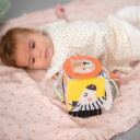 TAF Toys Savannah Discovery Cube