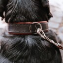 Hunter Canadian Up Halsbånd Black 40 cm