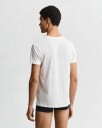 GANT 2-Pack Crew Neck T-Shirt White