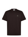Lacoste Cotton T-Shirt - Brown - XS
