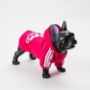 Adidog Hettegenser Til Hunder