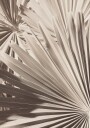 Abstract Palm Leaf Art Plakat Plakat / 30x40cm