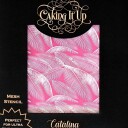 Caking It Up Mesh Kakestensil Catalina 