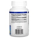 BERBERIN 500 mg 60 kapsler WellBetX