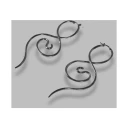 Panconesi Dame Accessories Grå ONE SIZE,