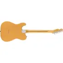 Fender Am Pro Clsc Tele SSS RW BTB