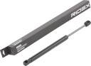 RIDEX 219G0895 Baklukedemper