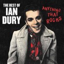 Ian Dury Anything That Rocks The Best Of Vinyl